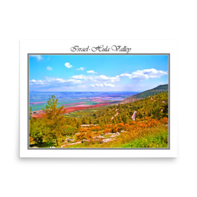 enhanced-matte-paper-poster-in-18x24-front-68fd35b25adc1.jpg Poster israel hula valley 001 18″×24″