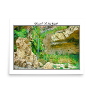 Poster israel ein gedi 003 18″×24″