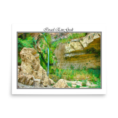 enhanced-matte-paper-poster-in-18x24-front-68fd3657660e7.jpg Poster israel ein gedi 003 18″×24″