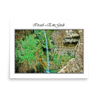 Poster israel ein gedi 004 18″×24″