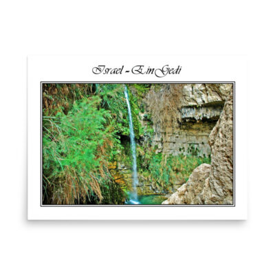 enhanced-matte-paper-poster-in-18x24-front-68fd36578fd6d.jpg Poster israel ein gedi 004 18″×24″