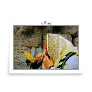 enhanced-matte-paper-poster-in-18x24-front-68fe68aa963e8.jpg Poster kotel 0075 18″×24″