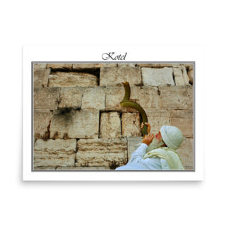 enhanced-matte-paper-poster-in-18x24-front-68fe68ab35aca.jpg Poster kotel 0069 18″×24″