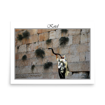 enhanced-matte-paper-poster-in-18x24-front-68fe68ab98e96.jpg Poster kotel 0071 18″×24″