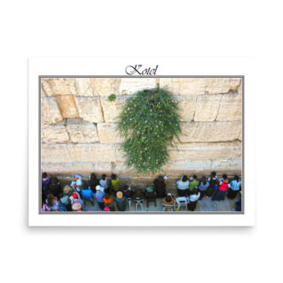 enhanced-matte-paper-poster-in-18x24-front-68fe692a2e795.jpg Poster kotel 0061 18″×24″