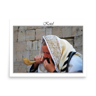 enhanced-matte-paper-poster-in-18x24-front-68fe692b0e1b8.jpg Poster kotel 0066 18″×24″