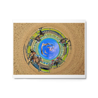Metal prints  360 horse racing 0001 16″×20″