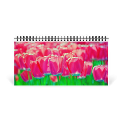 Desktop calendar tulips