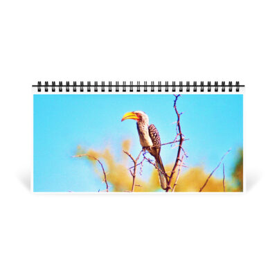 02 desktop-calendar-10x5-front-6914be003b9e3 Desktop calendar birds