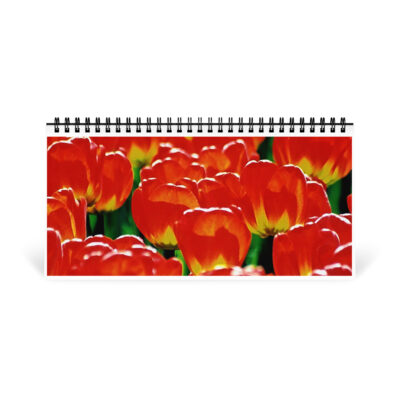 Desktop calendar tulips
