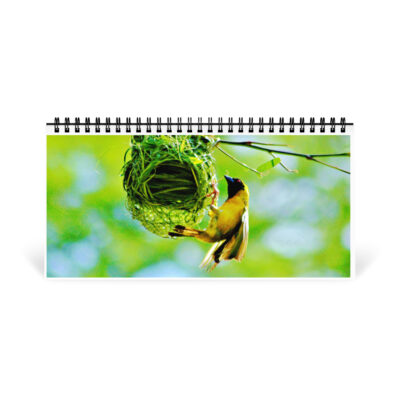 03 desktop-calendar-10x5-front-6914be003bf37 Desktop calendar birds