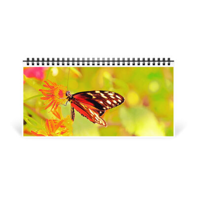 Desktop calendar butterfly
