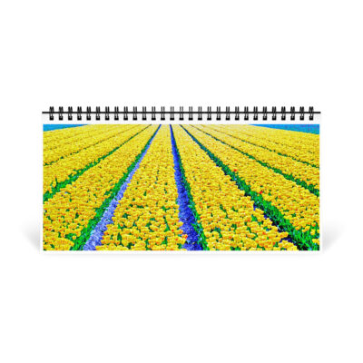 Desktop calendar tulips