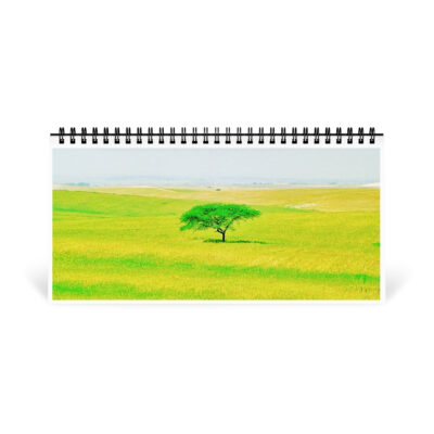 03 desktop-calendar-10x5-front-6914c9e11e6f9 Desktop calendar Israel vista 1