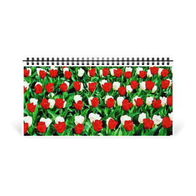 Desktop calendar tulips