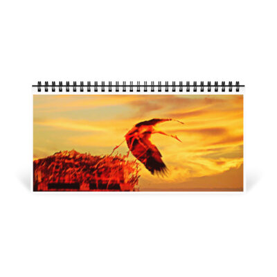 05 desktop-calendar-10x5-front-6914be003cab8 Desktop calendar birds