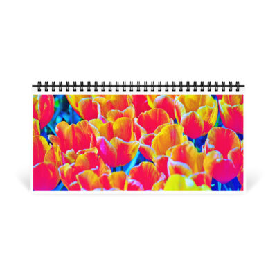 Desktop calendar tulips