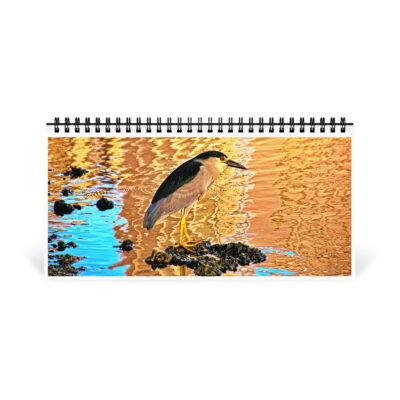 06 desktop-calendar-10x5-front-6914be003d0bb Desktop calendar birds