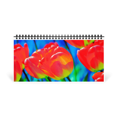 Desktop calendar tulips