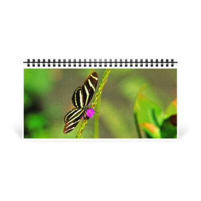 Desktop calendar butterfly