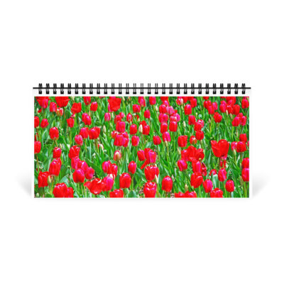 Desktop calendar tulips