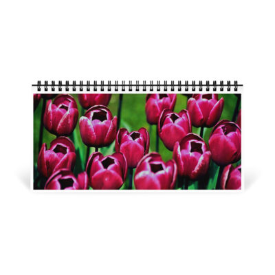 Desktop calendar tulips