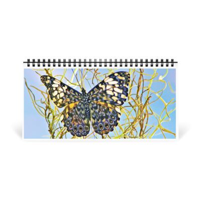 Desktop calendar butterfly