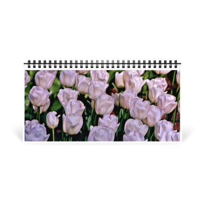 Desktop calendar tulips