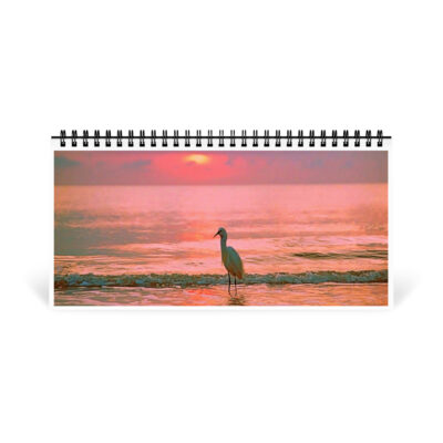 11 desktop-calendar-10x5-front-6914be003ef3f Desktop calendar birds