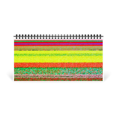 Desktop calendar tulips