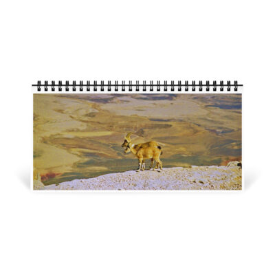 12 desktop-calendar-10x5-front-6914c9e121ab9 Desktop calendar Israel vista 1