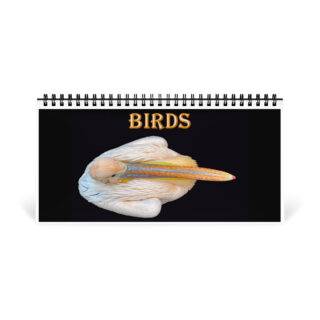 Desktop calendar birds