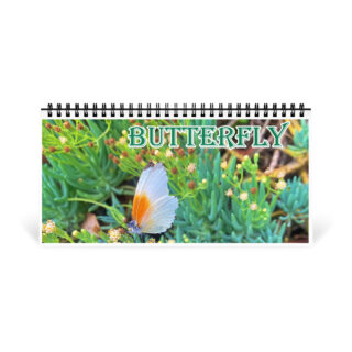 Desktop calendar butterfly