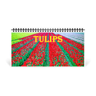 Desktop calendar tulips