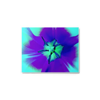glossy-metal-print-in-white-11x14-front-69166e593180a.jpg Metal prints abstract flora 0006 11″×14″