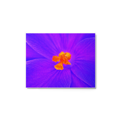 glossy-metal-print-in-white-11x14-front-69166edc33d53.jpg Metal prints abstract flora 0008 11″×14″