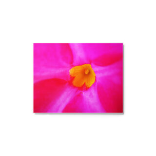 glossy-metal-print-in-white-11x14-front-6916704c1414e.jpg Metal prints abstract flora 0005 11″×14″