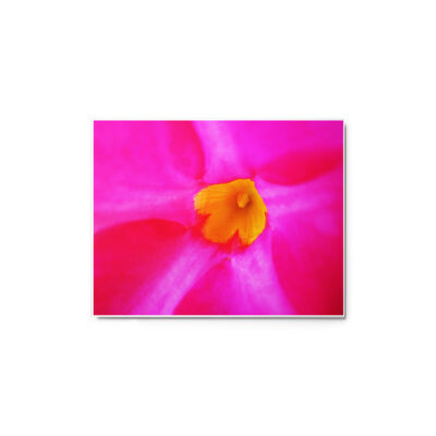 Metal prints abstract flora 0005 11″×14″