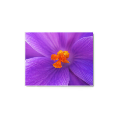 Metal prints abstract flora 0003 11″×14″