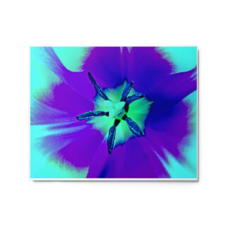 Metal prints abstract flora 0006 16″×20″