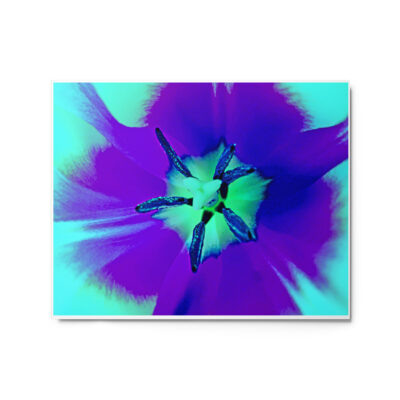 glossy-metal-print-in-white-16x20-front-69166caa66e55.jpg Metal prints abstract flora 0006 16″×20″