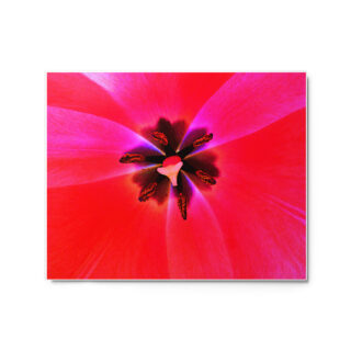 glossy-metal-print-in-white-16x20-front-69166f9ae141d.jpg Metal prints abstract flora 0007 16″×20″