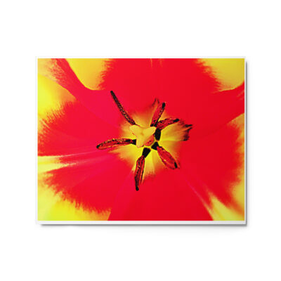 Metal prints abstract flora 0004 16″×20″
