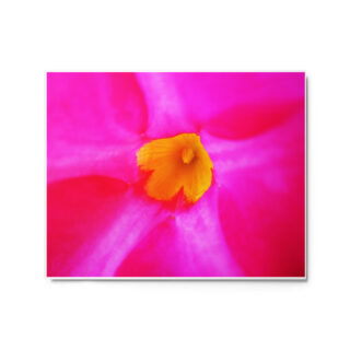 glossy-metal-print-in-white-16x20-front-6916704c503cf.jpg Metal prints abstract flora 0005 16″×20″