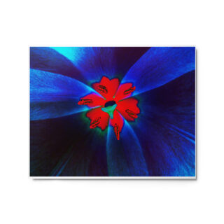 glossy-metal-print-in-white-16x20-front-69167401aba57.jpg Metal prints abstract flora 0002 16″×20″