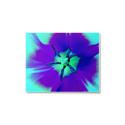 Metal prints abstract flora 0006 8″×10″