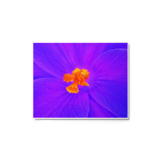 glossy-metal-print-in-white-8x10-front-69166edc3264a.jpg Metal prints abstract flora 0008 8″×10″