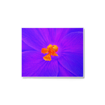 glossy-metal-print-in-white-8x10-front-69166edc3264a.jpg Metal prints abstract flora 0008 8″×10″