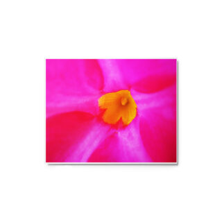 glossy-metal-print-in-white-8x10-front-6916704c818b3.jpg Metal prints abstract flora 0005 8″×10″