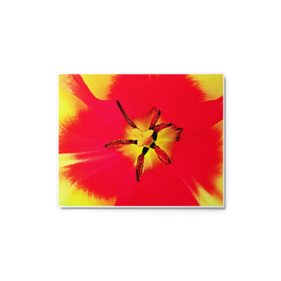 glossy-metal-print-in-white-8x10-front-6916704c8fe22.jpg Metal prints abstract flora 0004 8″×10″